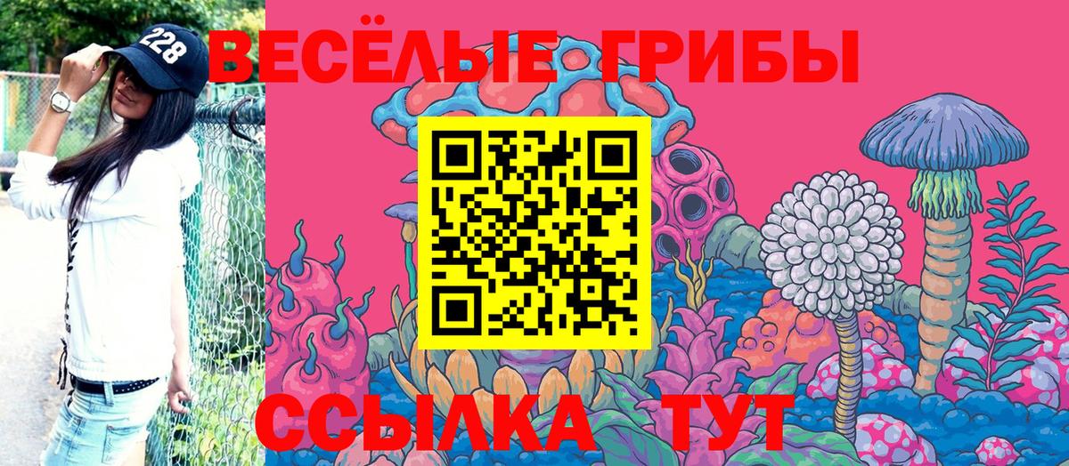 Галлюциногенные грибы прущие грибы Магадан